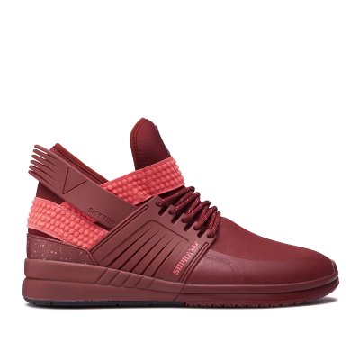 Supra Høje Skytop V Sko Dame Bordeaux Rød | GY2ZBTA